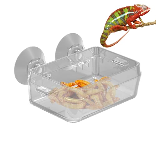 Reptilienfutterschale – robuste Futterschale für Eidechsen, Geckos, Schlangen und Schildkröten | natürlich aussehende Wasser- und Futterschüssel, rutschfeste Unterseite, leicht zu reinigen von Générique