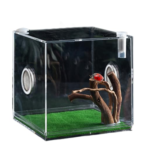 Reptilienkäfig aus Glas – Käfig, verstellbar, Mini-Kreaturenbehälter | geräumiges Spinnenhaus, Terrarium für exotische Insekten, transparenter Lautsprecher für Eidechsen von Générique