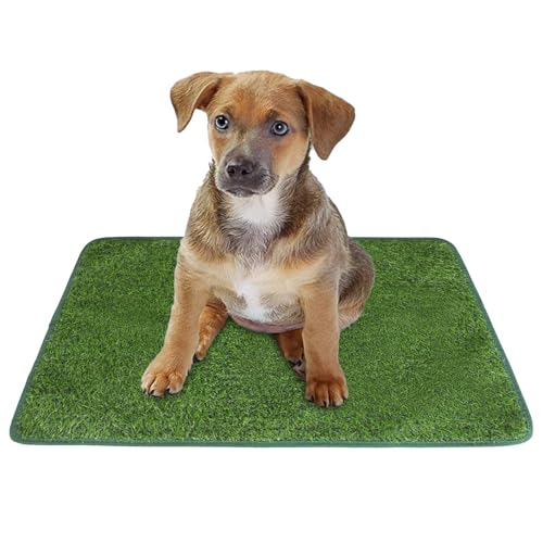 Sauberkeitstrainingsmatte für Welpen, Trainingsmatte für Hunde – große Pipi-Pads für Kunstrasen, waschbare Trainingsmatte für Welpen und Hals Sauberkeitstrainingsmatte für Welpen, Trainingsmatte für Hunde – große Pipi-Pads für Kunstrasen, waschbare Trainingsmatte für Welpen und Hals von Générique