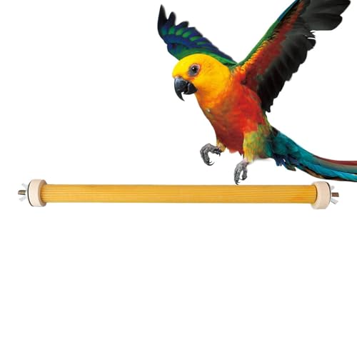 Sitzstangenhalter aus Holz für Vögel, Sitzstangen für Vögel, Spielzeug für Papageienkäfig aus Naturholz, Vogelsitzstangen, Halterung für kleine oder mittelgroße Papageien, Perr Sitzstangenhalter aus Holz für Vögel, Sitzstangen für Vögel, Spielzeug für Papageienkäfig aus Naturholz, Vogelsitzstangen, Halterung für kleine oder mittelgroße Papageien, Perr von Générique