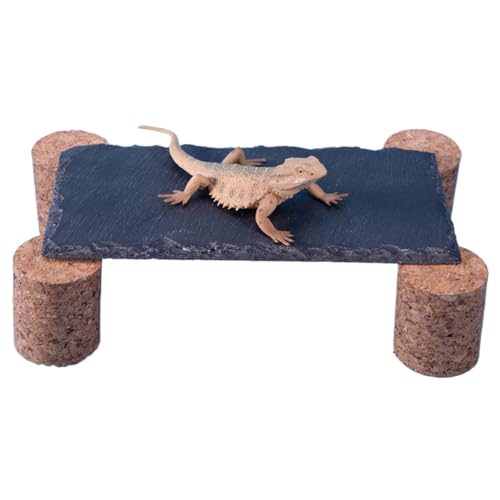 Slate Rocks, Reptile Sunbathing Rock with Cork Stake 20 x 10 cm, Natural Humid-Proof Climbing Habitat for Gecko, Schildkröte, Snake, Aquarium und Terrarium Slate Rocks, Reptile Sunbathing Rock with Cork Stake 20 x 10 cm, Natural Humid-Proof Climbing Habitat for Gecko, Schildkröte, Snake, Aquarium und Terrarium von Générique