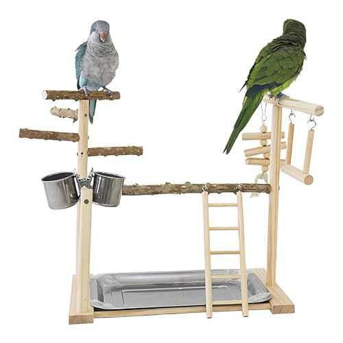 Spielplatz für Papageien – Spielplatz für Vögel Kakadus | Kletterbaum für Vögel, Übungsraum für Sittiche, Kletterleiter mit Tablett und Tassen, Sitzstangen für Vögel, Salz Spielplatz für Papageien – Spielplatz für Vögel Kakadus | Kletterbaum für Vögel, Übungsraum für Sittiche, Kletterleiter mit Tablett und Tassen, Sitzstangen für Vögel, Salz von Générique