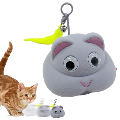 Spielzeug für Hauskatzen – automatische Maus – wiederaufladbares Haustierzubehör mit Licht und Zubehör zur Stimulierung des Kauens und der Spielübungen Spielzeug für Hauskatzen – automatische Maus – wiederaufladbares Haustierzubehör mit Licht und Zubehör zur Stimulierung des Kauens und der Spielübungen von Générique