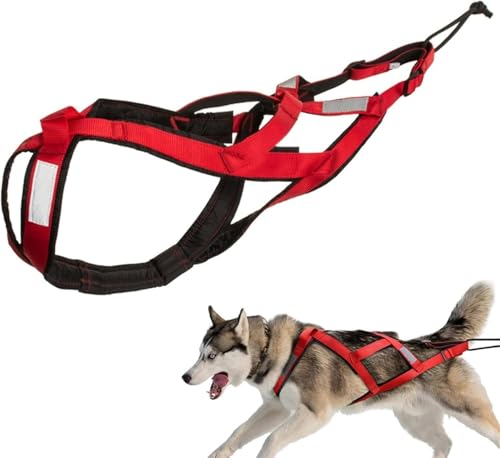Stellar Fung Hwa Zuggeschirr für Hunde aus Nylon mit reflektierendem Band, wasserdichtes Hundegeschirr, Hundegeschirr, Zuggeschirr für Hundeübungen, für Cani-Mountainbike, gezogenes Skifahren Stellar Fung Hwa Zuggeschirr für Hunde aus Nylon mit reflektierendem Band, wasserdichtes Hundegeschirr, Hundegeschirr, Zuggeschirr für Hundeübungen, für Cani-Mountainbike, gezogenes Skifahren von Générique