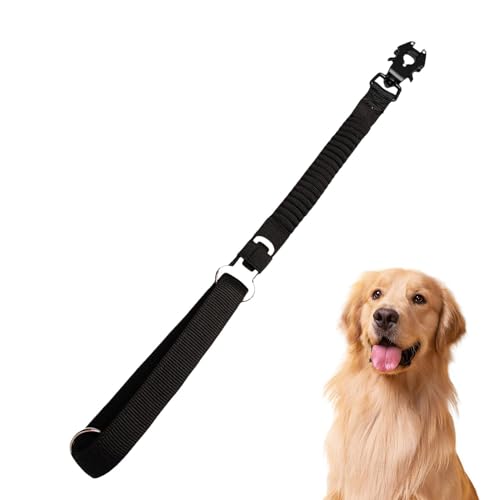 Stoßabsorbierendes Hundeseil, Hundeleinen, Bungee-Seil, Hundeseil zum Spazierengehen, elastische kurze Leine für Spaziergänge im Freien am Strand, rob Hundeseil Stoßabsorbierendes Hundeseil, Hundeleinen, Bungee-Seil, Hundeseil zum Spazierengehen, elastische kurze Leine für Spaziergänge im Freien am Strand, rob Hundeseil von Générique