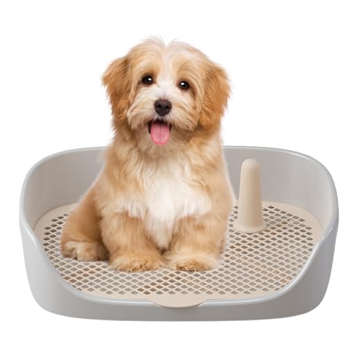 Tablett für Hunde-Töpfchen – Trainingstablett für Toiletten im Freien, für den Innenbereich, Katzentoilette | Pipi-Halterung mit Schutzwand, einfache Reinigung, tragbares Design, auslaufsicher, Tablett für Hunde-Töpfchen – Trainingstablett für Toiletten im Freien, für den Innenbereich, Katzentoilette | Pipi-Halterung mit Schutzwand, einfache Reinigung, tragbares Design, auslaufsicher, von Générique