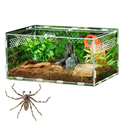 Tarantula Habitat Box – Acryl Reptilien-Lautsprecher, Insektenvermehrungsbehälter | Große transparente Futterbox, durchsichtiges Acryl-Spinnen-Terrarium für die Konfiguration Tarantula Habitat Box – Acryl Reptilien-Lautsprecher, Insektenvermehrungsbehälter | Große transparente Futterbox, durchsichtiges Acryl-Spinnen-Terrarium für die Konfiguration von Générique