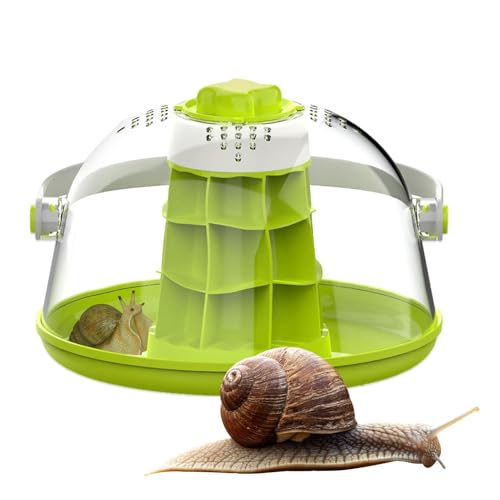 Terrarium Reptile Habitat – Reptile Tank Reptilien, Terrarium Lizard Habitat Käfig | Terrarium in Freigehege Wohngehege | Atmungsaktives Mini-Haus für Schnecken, Seide, Schildkröten, Kleintiere von Générique