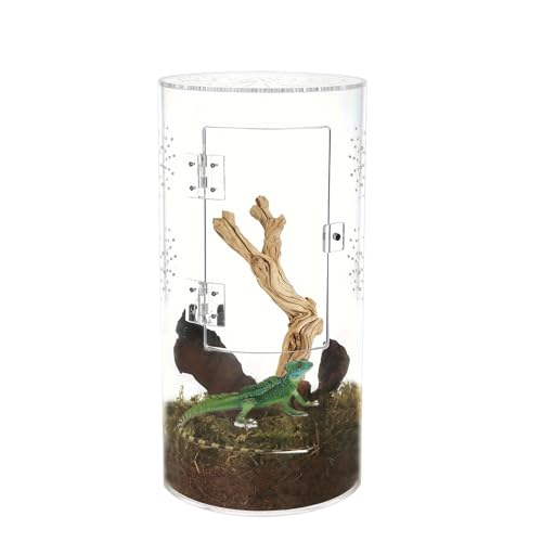 Terrarium für Springspinnen – Freigehege aus transparentem Acryl für Reptilien, Baum, Lebensraum, langlebig und belüftet | Wasserdichtes Habitat für Spinnen mit Front-Zugang für Vogelspinnen Terrarium für Springspinnen – Freigehege aus transparentem Acryl für Reptilien, Baum, Lebensraum, langlebig und belüftet | Wasserdichtes Habitat für Spinnen mit Front-Zugang für Vogelspinnen von Générique