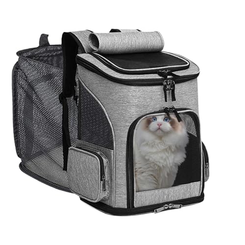 Tragbare Transporttasche für Katzen, tragbar, ausziehbar und faltbar | Zubehör für Haustiere, Reisen, Transport, Auto, Tierarzt, Flugzeug, Flugreisen von Générique