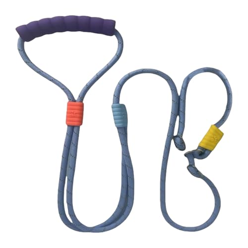 Trainingsgelände für Hunde, Hundeleine | Gepolstertes Netzgewebe gegen Pull | Trainingssets für Welpen, wasserdicht, leichtes Haustierzubehör zum Gehen Trainingsgelände für Hunde, Hundeleine | Gepolstertes Netzgewebe gegen Pull | Trainingssets für Welpen, wasserdicht, leichtes Haustierzubehör zum Gehen von Générique