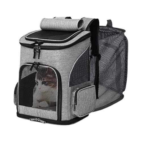Transportbox für Katzen, tragbar, ausziehbar und faltbar, Zubehör für Haustiere, Reisen, Transport, Auto, Tierarzt, Flugzeug, Flugreisen Transportbox für Katzen, tragbar, ausziehbar und faltbar, Zubehör für Haustiere, Reisen, Transport, Auto, Tierarzt, Flugzeug, Flugreisen von Générique
