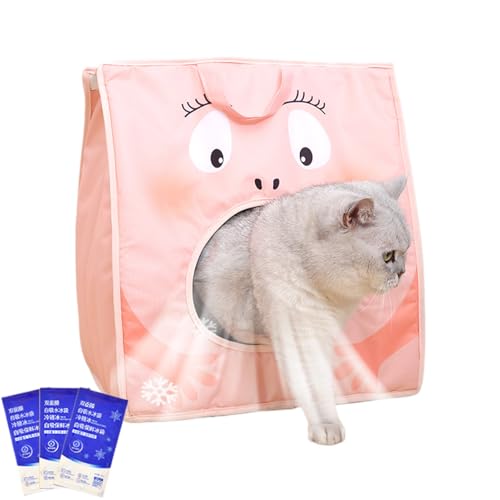 Transporttasche für Katzen, Reisetasche für Katzen mit integriertem Eispack – isoliert, belüftet, tragbar, Haus zur Kühlung im Freien, Camping, Reisen, Flugzeug Transporttasche für Katzen, Reisetasche für Katzen mit integriertem Eispack – isoliert, belüftet, tragbar, Haus zur Kühlung im Freien, Camping, Reisen, Flugzeug von Générique