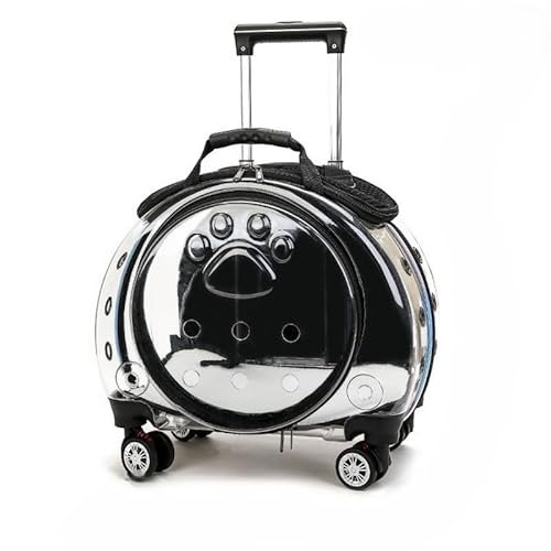 Transporttasche für Katzen mit Rollen – Transparenter fester und atmungsaktiver Transportwagen für Katzen oder kleine Hunde, mit leisen 360°-Rädern, abnehmbaren Schultergurten und belüftetem Rücken Transporttasche für Katzen mit Rollen – Transparenter fester und atmungsaktiver Transportwagen für Katzen oder kleine Hunde, mit leisen 360°-Rädern, abnehmbaren Schultergurten und belüftetem Rücken von Générique