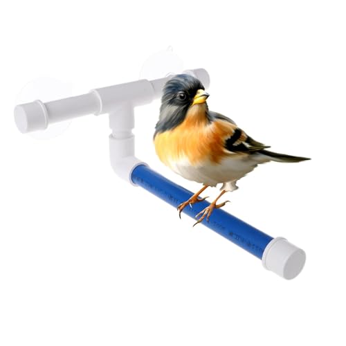 Vogel-Duschstange, Duschstange für Papageien | Barschbecher bied Sitzstange Das Spielzeug, Badespielzeug zur Wandmontage, Zubehör für Papageienkäfig, Taschenpfosten, Vogel-Duschstange, Duschstange für Papageien | Barschbecher bied Sitzstange Das Spielzeug, Badespielzeug zur Wandmontage, Zubehör für Papageienkäfig, Taschenpfosten, von Générique