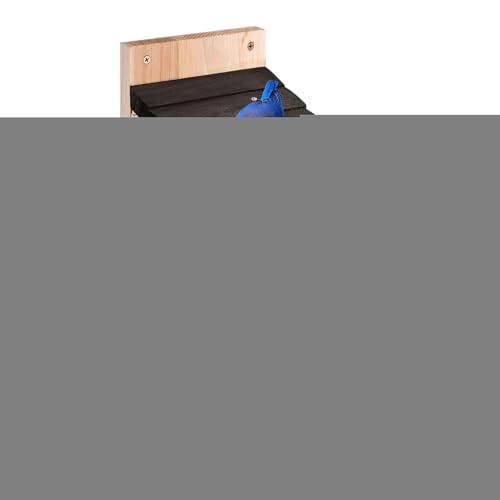 Vogelbox – Vogelhaus aus Holz | Kolibri-Nest zum Aufhängen | Dekoration der Hütte für Haselnüsse, wasserdicht, Zubehör für Vögel im Freien für das Rasenfenster Vogelbox – Vogelhaus aus Holz | Kolibri-Nest zum Aufhängen | Dekoration der Hütte für Haselnüsse, wasserdicht, Zubehör für Vögel im Freien für das Rasenfenster von Générique