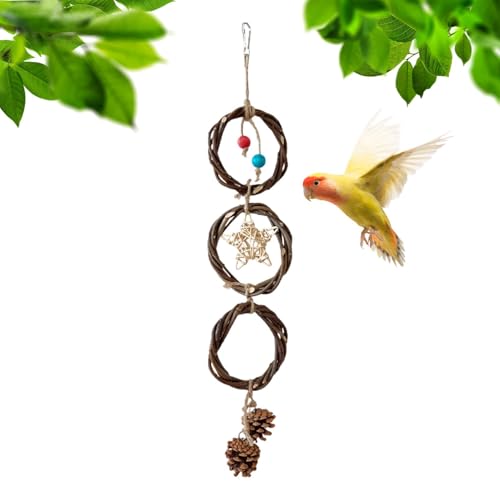 Vogelschredder-Spielzeug, Ringspielzeug für Vögel, , Spielzeug für Vögel, , Sitzstangen zum Zerkleinern von Kaninchen, Schaukel für mit Stern und Tannenzapfen, großes Vogelschredder-Spielzeug, Ringspielzeug für Vögel, , Spielzeug für Vögel, , Sitzstangen zum Zerkleinern von Kaninchen, Schaukel für mit Stern und Tannenzapfen, großes von Générique