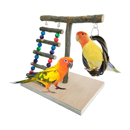 Vogelspielplatz für Nymphensittiche – robuster Holzspielplatz für Papageien | Spielplatz aus Naturholz für Vögel, Kletterspielplatz, Nymphensitten-Trainingsstation Vogelspielplatz für Nymphensittiche – robuster Holzspielplatz für Papageien | Spielplatz aus Naturholz für Vögel, Kletterspielplatz, Nymphensitten-Trainingsstation von Générique