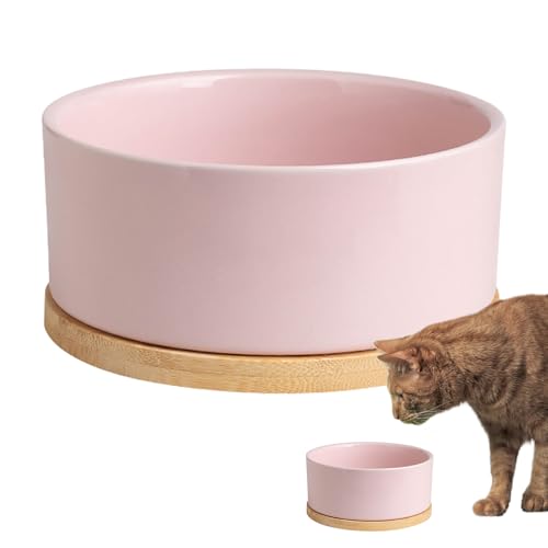 Wassernapf für Haustiere – USB-Wassernapf mit Auslaufschutz, tragbar, beheizte Katzenschalen, für draußen, selbstheizend, kleine Wasserschale für Tiere von Générique