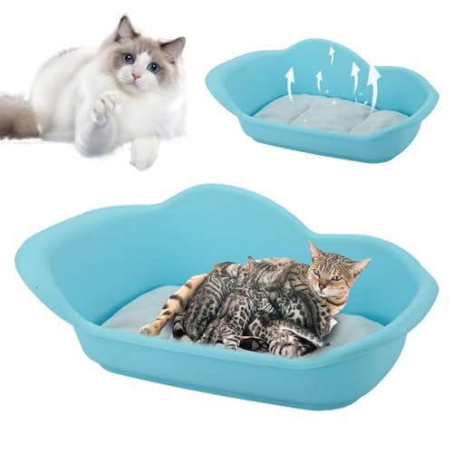 Welp Box Puppy – Wurfbox für kleine Hunde, mit atmungsaktivem und bequemem Bett für Welpen, Hygienebedarf für Haustiere für kleine Hunde Welp Box Puppy – Wurfbox für kleine Hunde, mit atmungsaktivem und bequemem Bett für Welpen, Hygienebedarf für Haustiere für kleine Hunde von Générique