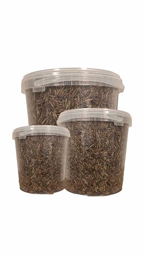 1 kg Getrocknete Mehlwürmer – Proteinreiches Naturfutter für Vögel, Fische, Reptilien und Kleintiere von Generisch