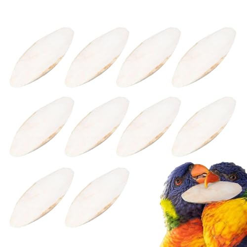 10 Stück Tintenfisch Knochen Spielzeug Cuttlebone für Vögel Kauspielzeug Natürliche Tintenfisch Knochen für Cuttlebone für Sittiche Bulk, Aquarium Cuttlebone für Schnecken von Generisch