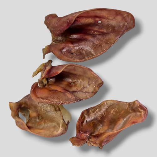 100 Stück getrocknete Schweineohren natürlicher Hundesnack, Kausnack, Hundefutter gesund und leicht verdaulich, ideal für Zahnpflege und Belohnung, 100 STK 100 Stück getrocknete Schweineohren natürlicher Hundesnack, Kausnack, Hundefutter gesund und leicht verdaulich, ideal für Zahnpflege und Belohnung, 100 STK von Generisch