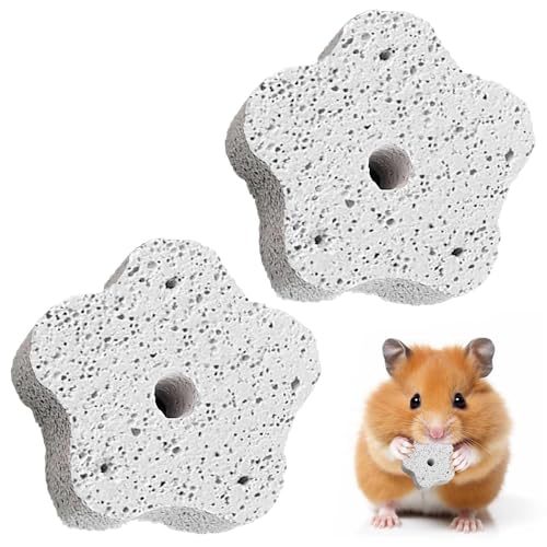 2 Stück natürlicher Kalzium-Mineralstein: Hamsterzahnschleifspielzeug, Meerschweinchen-Kauspielzeug für kleine Haustiere einschließlich Papageien als Kaublock, Snacks, Hamster-Mineralblock und 2 Stück natürlicher Kalzium-Mineralstein: Hamsterzahnschleifspielzeug, Meerschweinchen-Kauspielzeug für kleine Haustiere einschließlich Papageien als Kaublock, Snacks, Hamster-Mineralblock und von Generisch