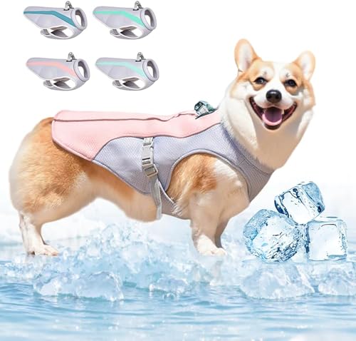 2025 Neu Kühlweste Hunde,Kühlweste für Hundes mit Reflektierenden Streifen, Hundekühlwesten Atmungsaktive Kühlmantel Kühljacke Hunde Sonnenschutz kühlung Sommer (Rosa, 2XL) von Generisch
