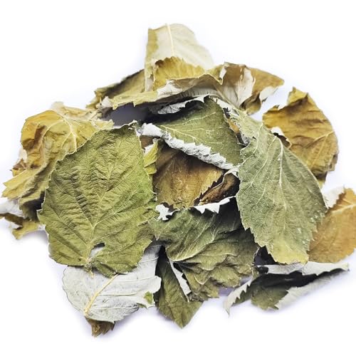 25 STK. Premium Himbeerblätter ganz (je 4-8cm) - Laub für Aquarium & Terrarium > Garnelen, Schnecken, Krebse, Welse | 3 in 1 = Futter, Versteck & Wasseraufbereitung von Generisch