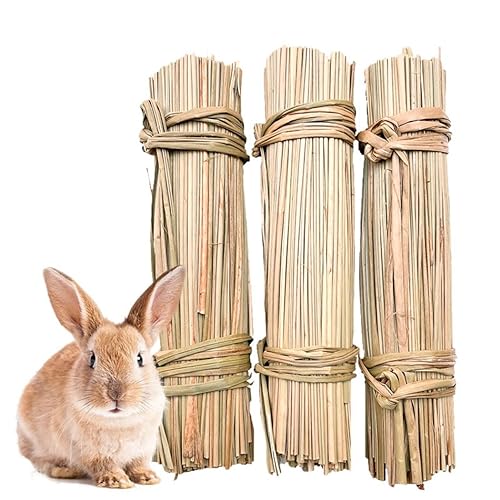 3 Rollen Gras-Kaustäbchen, handgefertigt, professionell für Indoor-Kaninchen und Käfig-Bunny-Kaustangen von Generisch