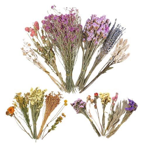 3 x Blumen-Hamster-Einstreu, Blumenbeete, Getreideohren, Kleintierblumen, Lebensraum- , Lebensraum- -Set, Käfig-Dekoration, Zubehör für Hamster, Rennmäuse, 25 cm 3 x Blumen-Hamster-Einstreu, Blumenbeete, Getreideohren, Kleintierblumen, Lebensraum- , Lebensraum- -Set, Käfig-Dekoration, Zubehör für Hamster, Rennmäuse, 25 cm von Generisch