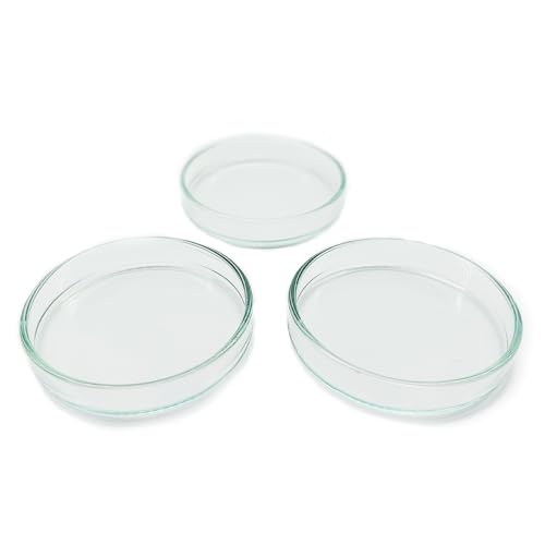 3X Futterschale aus Glas 60mm für Aquarium & Terrarium > Garnelen, Schnecken, Welse UVM. | Echtglas Futter Schale zum geziehlten füttern | KEIN Acryl/Plastik sondern Laborglas! 3X Futterschale aus Glas 60mm für Aquarium & Terrarium > Garnelen, Schnecken, Welse UVM. | Echtglas Futter Schale zum geziehlten füttern | KEIN Acryl/Plastik sondern Laborglas! von Generisch