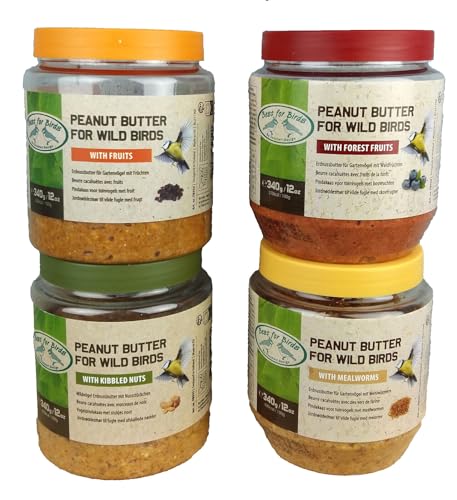 4X 340g Vogelfutter Erdnussbutter für Gartenvögel 4 Verschiedene Sorten Mehlwürmer Nussstücke Frucht Wildvogelfutter Vögel PET-Glas Fettfutter 4X 340g Vogelfutter Erdnussbutter für Gartenvögel 4 Verschiedene Sorten Mehlwürmer Nussstücke Frucht Wildvogelfutter Vögel PET-Glas Fettfutter von Generisch