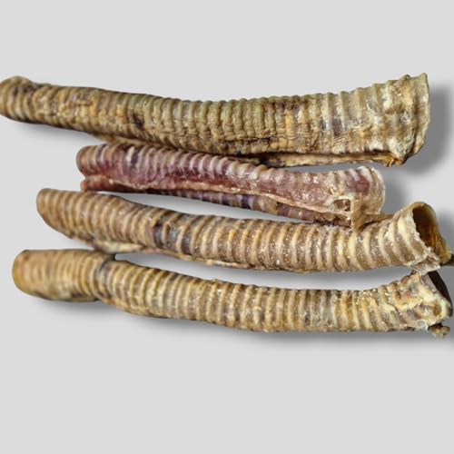 5KG Getrocknete Rinderstrossen Rinderluftröhre natürlicher Hundesnack, Kausnack, Hundefutter gesund und leicht verdaulich, ideal für Zahnpflege und Belohnung, 35-45cm 5KG Getrocknete Rinderstrossen Rinderluftröhre natürlicher Hundesnack, Kausnack, Hundefutter gesund und leicht verdaulich, ideal für Zahnpflege und Belohnung, 35-45cm von Generisch