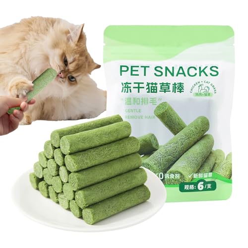 6 Stück Katzengras Snack, Katzengras Sticks, Katzengrass Gefriergetrocknet, Natürlich Getrocknet Snacks Für Katzen Für Haarballenentfernung Und Zahnpflege, Katzenminze, Cat Grass Stick von Generisch