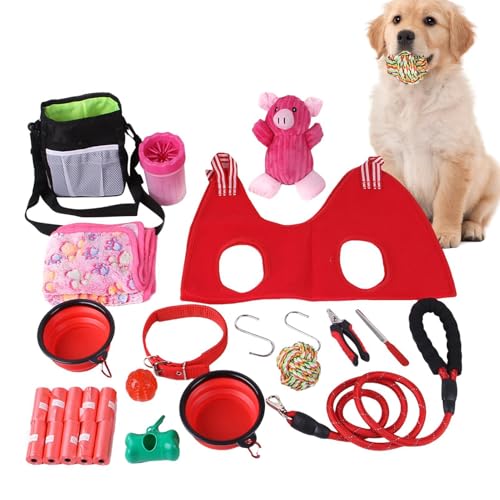 Agility-Trainingsgerät für Hunde, multifunktionales Hundezubehör, stabiles Spielzeug, sicher für den täglichen Gebrauch, Spaziergänge, Laufen, Training Agility-Trainingsgerät für Hunde, multifunktionales Hundezubehör, stabiles Spielzeug, sicher für den täglichen Gebrauch, Spaziergänge, Laufen, Training von Generisch