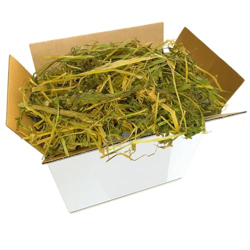 Alfalfa, 1 kg, natürliches Heu aus medizinischem Gras, reich an Ballaststoffen, Proteinen und Kalzium, ideal für Kaninchen, Meerschweinchen, kleine Nager und Pferde, Wachstum, Schwangerschaft Alfalfa, 1 kg, natürliches Heu aus medizinischem Gras, reich an Ballaststoffen, Proteinen und Kalzium, ideal für Kaninchen, Meerschweinchen, kleine Nager und Pferde, Wachstum, Schwangerschaft von Generisch