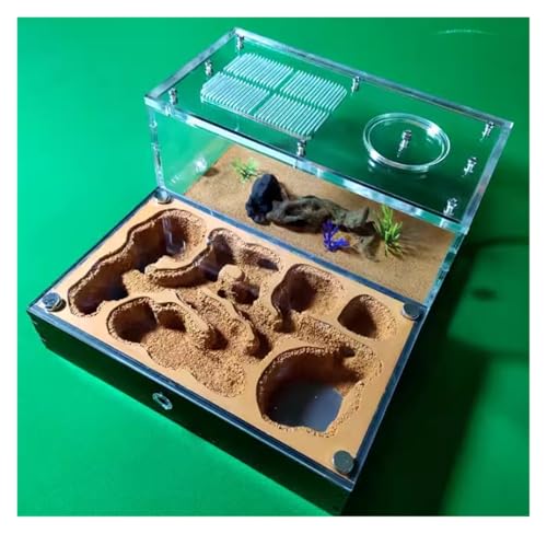 Ameisenfarm Nest Pädagogische Wissenschaft Ameisenhaus Studie des Ameisenverhaltens Formicarium Terrarium Pflegeraum ideal für die Beobachtung von Ameisen in Gefangenschaft Ameisenfarm Nest Pädagogische Wissenschaft Ameisenhaus Studie des Ameisenverhaltens Formicarium Terrarium Pflegeraum ideal für die Beobachtung von Ameisen in Gefangenschaft von Generisch