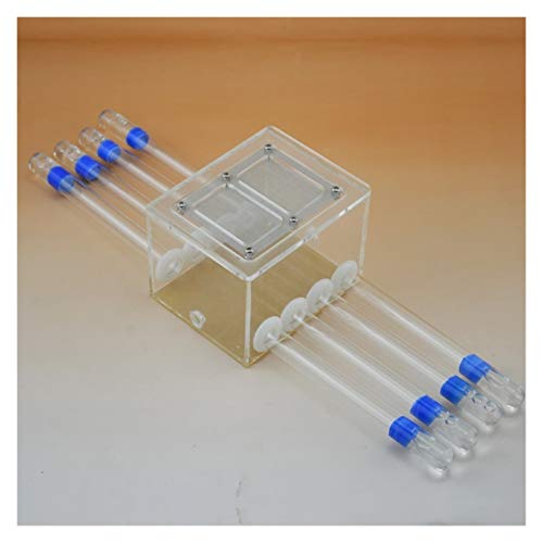 Ameisennest aus Acryl mit 8 Reagenzgläsern und Deckel für kleine Kolonien, feuchtigkeitsspendende Ameisenvilla, ideal für Insektenzuchtbox Ameisennest aus Acryl mit 8 Reagenzgläsern und Deckel für kleine Kolonien, feuchtigkeitsspendende Ameisenvilla, ideal für Insektenzuchtbox von Generisch