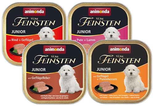 Animonda vom Feinsten Junior Mix 150g / zu je 11 oder 22 Schalen erhältlich/alle 4 Sorten/Hundefutter - Nassfutter für Junge Hunde (11) von Generisch