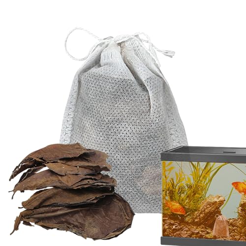 Aquarien Catappa -Blätter - natürliche Mandelblätter, Wasser Conditioner | Verbessert Lebensraum und Stressabbau, organisches Betta -Tankblatt für, Diskus, Wasserhüter und fügt Tannine hinzu von Generisch