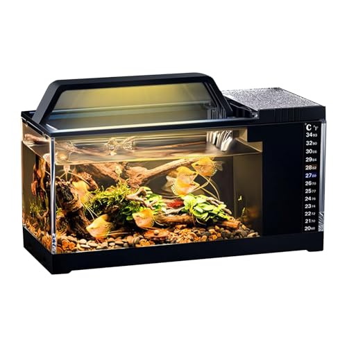 Aquarien mit LED-Lichtfilter – Aquarium mit integriertem Filter und LED-Lichtern, kleine leise Pumpe mit Filter, intelligentes Desktop-Zubehör für Schlafzimmer und Wohnzimmer Aquarien mit LED-Lichtfilter – Aquarium mit integriertem Filter und LED-Lichtern, kleine leise Pumpe mit Filter, intelligentes Desktop-Zubehör für Schlafzimmer und Wohnzimmer von Generisch