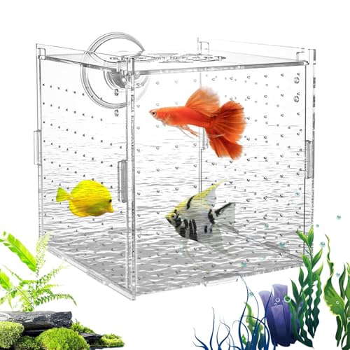 Aquarium Aufzuchtbox Für Fischbrut | Stabiler Jungfisch Separator Für Aquarien | Transparenter Brutkasten Mit Trennwand Zur Aufzucht Von Guppys Kaiserfisch Laich Und Jungtieren von Generisch