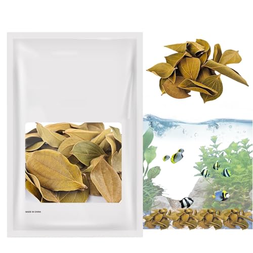 Aquarium-Blätter-Dekoration, Quinoa-Blätter für Schnecken und Krebse, 5 - 9 cm, Wasseraufbereiter, Blätter, auch geeignet für Garnelen, Guppy und Frösche Aquarium-Blätter-Dekoration, Quinoa-Blätter für Schnecken und Krebse, 5 - 9 cm, Wasseraufbereiter, Blätter, auch geeignet für Garnelen, Guppy und Frösche von Generisch