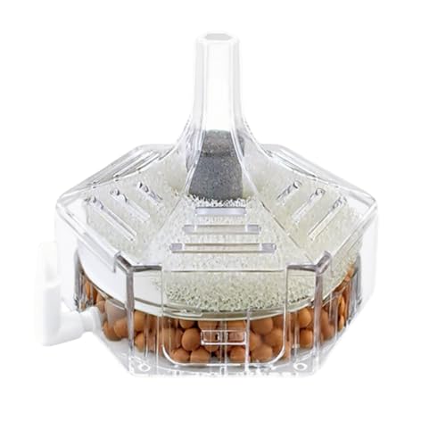 Aquarium Filter Fish Tank Filtration System Kompakter Wasserreiniger Leise Umwälzpumpe für Süßwasser Salzwassertank Wartung und Wasserpflege Transparent von Generisch