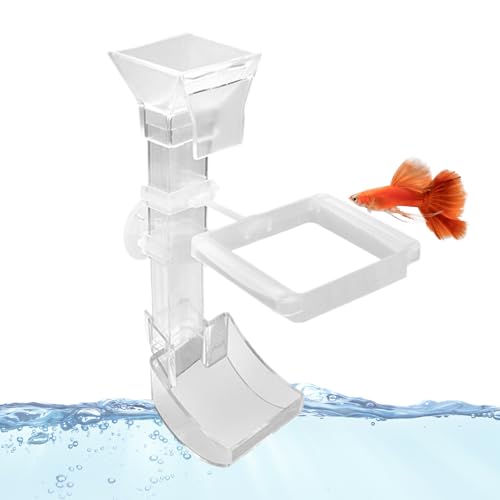 Aquarium Fischfutterautomat - Aquarium Fisch Futterautomat Set,Anti Verstreuen Futterspender Für Betta Fische Urlaubsversorgung Aquarium Fischfutterautomat - Aquarium Fisch Futterautomat Set,Anti Verstreuen Futterspender Für Betta Fische Urlaubsversorgung von Generisch