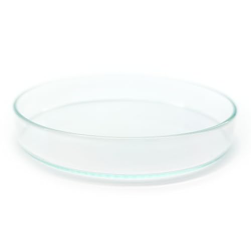 Aquarium Futterschale XXL aus Glas 100x16mm !6 Größen! für Aquarium & Terrarium > Garnelen, Schnecken, Welse... | Echtglas Futter Schale zum geziehlten füttern | KEIN Acryl/Plastik sondern Laborglas! Aquarium Futterschale XXL aus Glas 100x16mm !6 Größen! für Aquarium & Terrarium > Garnelen, Schnecken, Welse... | Echtglas Futter Schale zum geziehlten füttern | KEIN Acryl/Plastik sondern Laborglas! von Generisch