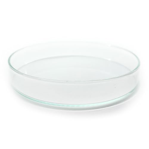 Aquarium Futterschale XXL aus Glas 114x19mm für Terrarium, Garnelen, Schnecken, Welse | Echtglas Futter Schale zum geziehlten füttern | KEIN Acryl/Plastik sondern Laborglas! 6 Größen Aquarium Futterschale XXL aus Glas 114x19mm für Terrarium, Garnelen, Schnecken, Welse | Echtglas Futter Schale zum geziehlten füttern | KEIN Acryl/Plastik sondern Laborglas! 6 Größen von Generisch