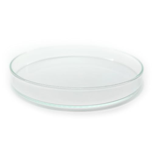 Aquarium Futterschale XXL aus Glas 120x20mm für Terrarium, Garnelen, Schnecken, Welse | Echtglas Futter Schale zum geziehlten füttern | KEIN Acryl/Plastik sondern Laborglas! 6 Größen Aquarium Futterschale XXL aus Glas 120x20mm für Terrarium, Garnelen, Schnecken, Welse | Echtglas Futter Schale zum geziehlten füttern | KEIN Acryl/Plastik sondern Laborglas! 6 Größen von Generisch